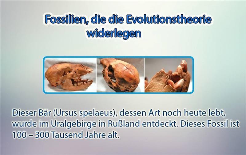 Fosilien, die die Evolutionstheorie widerlegen