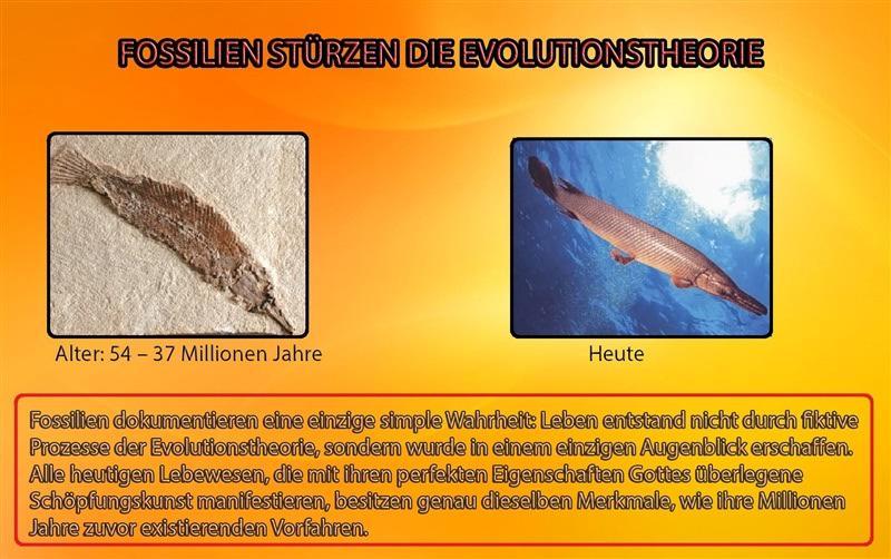 Fosilien Stürzen die evolutionstheorie