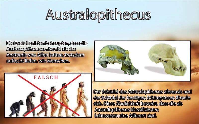 Australopithecus