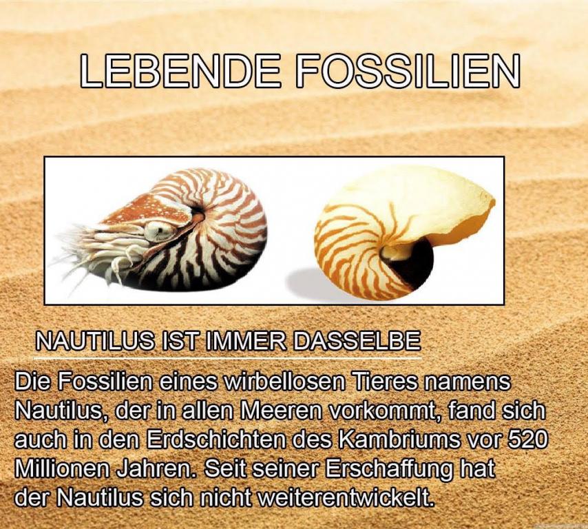 Lebende Fosilien