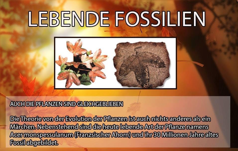 Lebende Fosilien