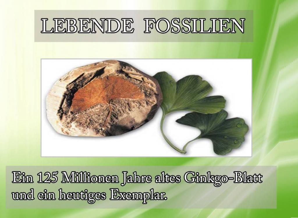 Lebende Fossilien