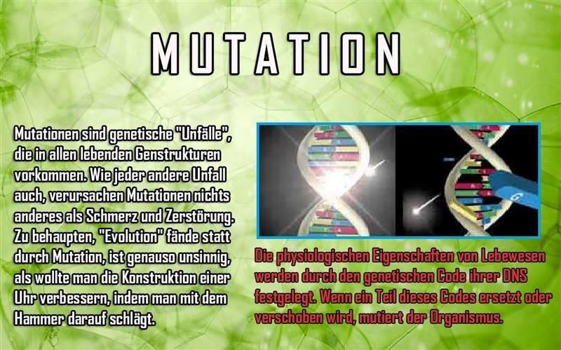 Der Niedergang der Evolutionstheorie