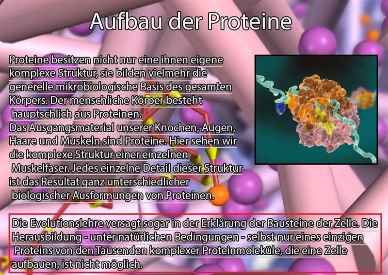 Der Niedergang der Evolutionstheorie