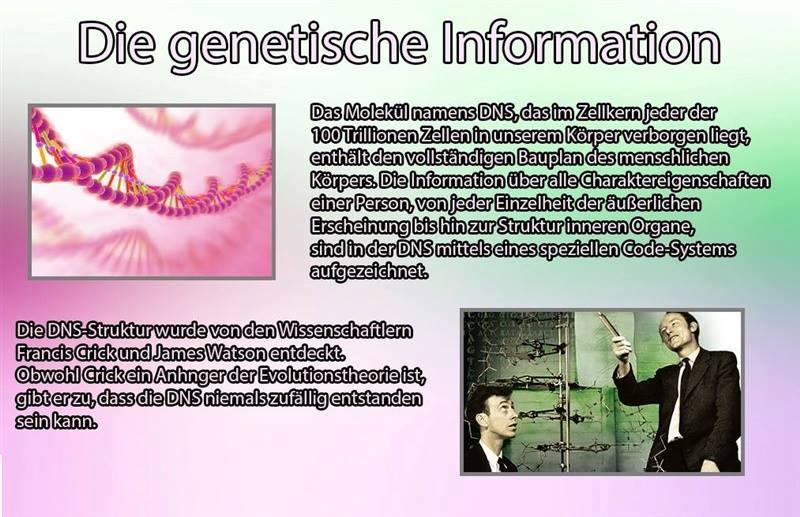 Der Niedergang der Evolutionstheorie