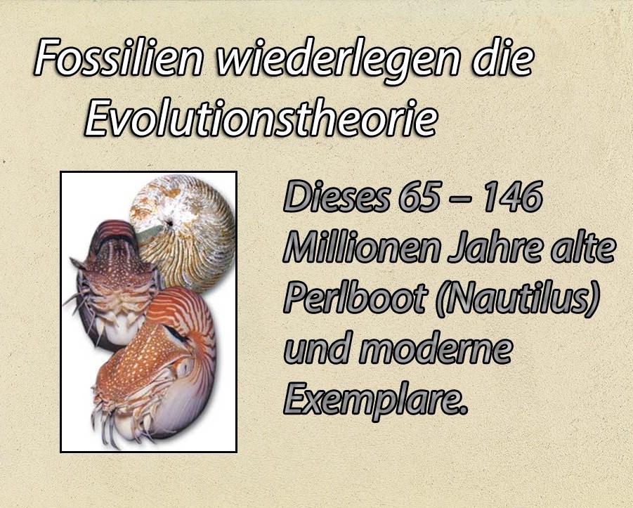 Der Niedergang der Evolutionstheorie