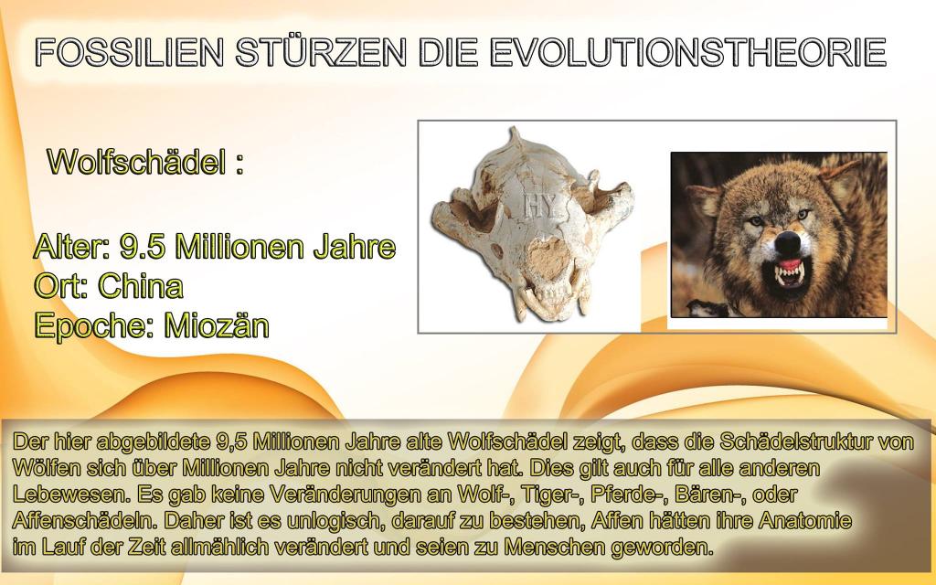 Der Niedergang der Evolutionstheorie