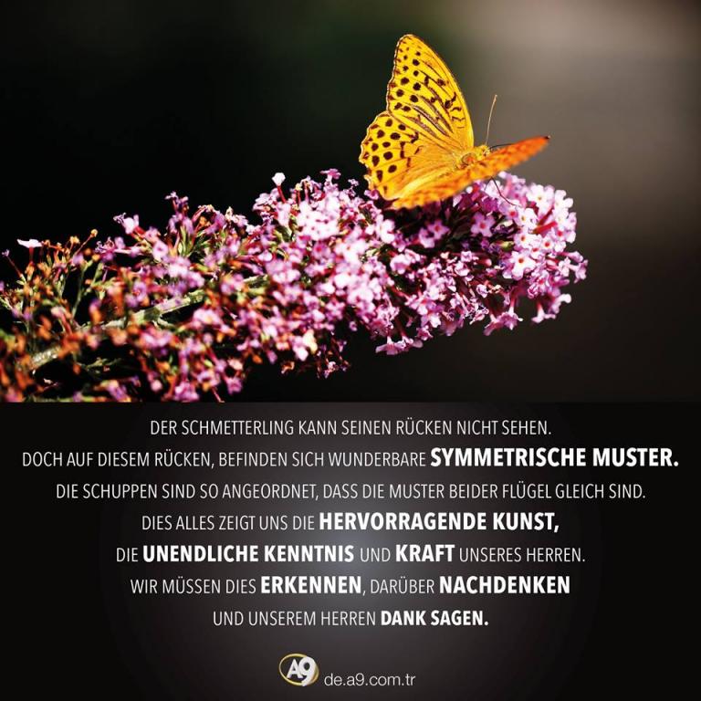 Der Niedergang der Evolutionstheorie