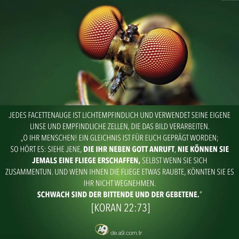 Der Niedergang der Evolutionstheorie