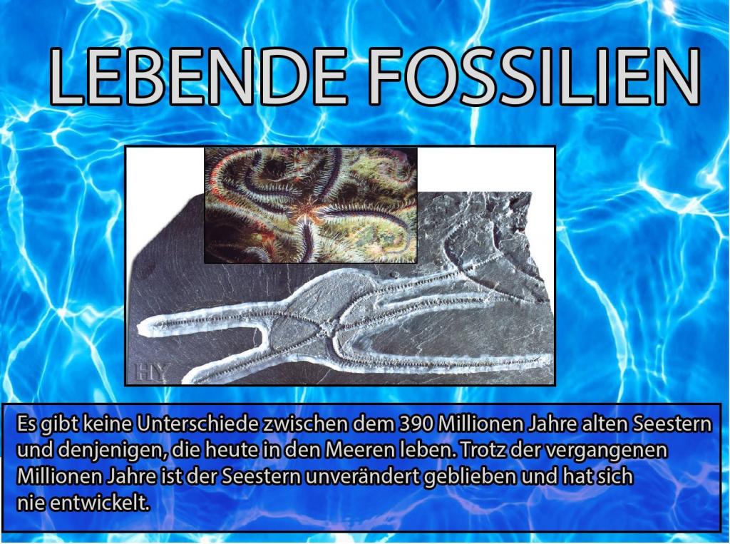 Der Niedergang der Evolutionstheorie