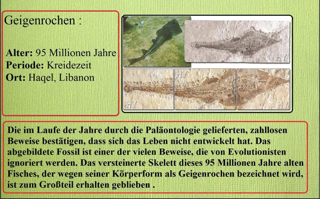 Der Niedergang der Evolutionstheorie 