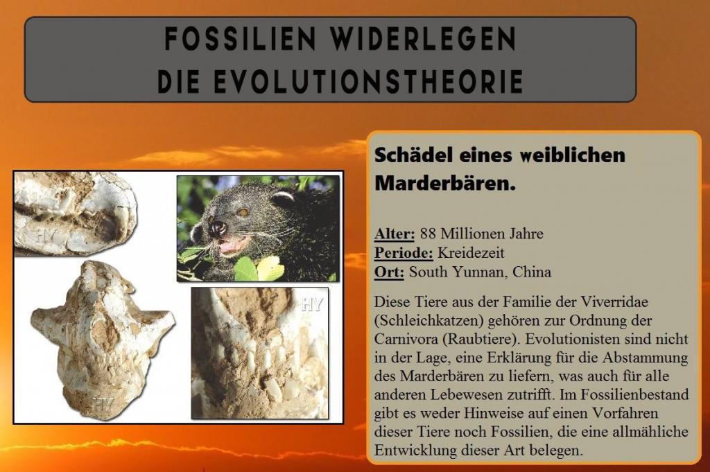 Der Niedergang der Evolutionstheorie 