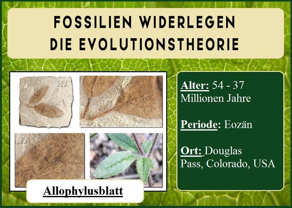 Der Niedergang der Evolutionstheorie 