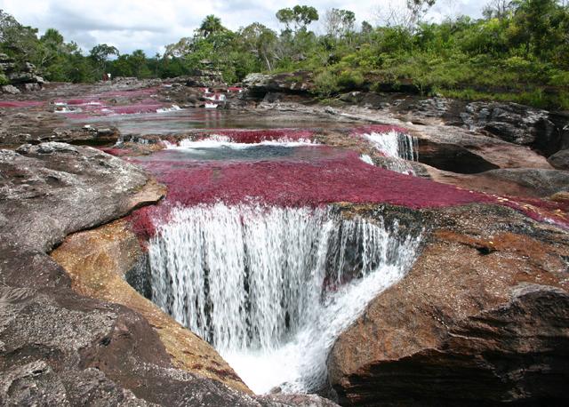 Caño Cristales, Kolombiya