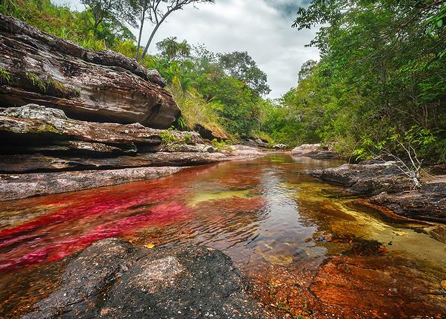 Caño Cristales, Kolombiya