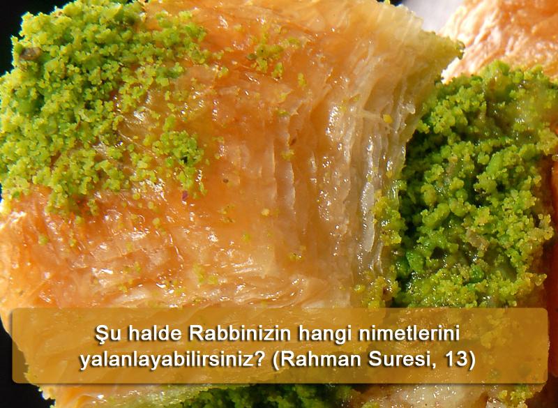Şu halde Rabbinizin hangi nimetlerini yalanlayabilirsiniz? (Rahman Suresi, 13)