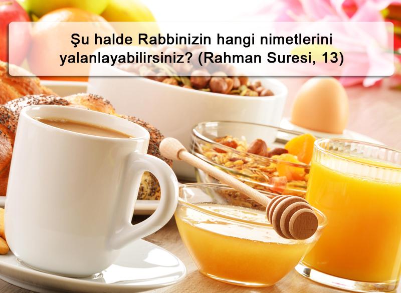 Şu halde Rabbinizin hangi nimetlerini yalanlayabilirsiniz? (Rahman Suresi, 13)