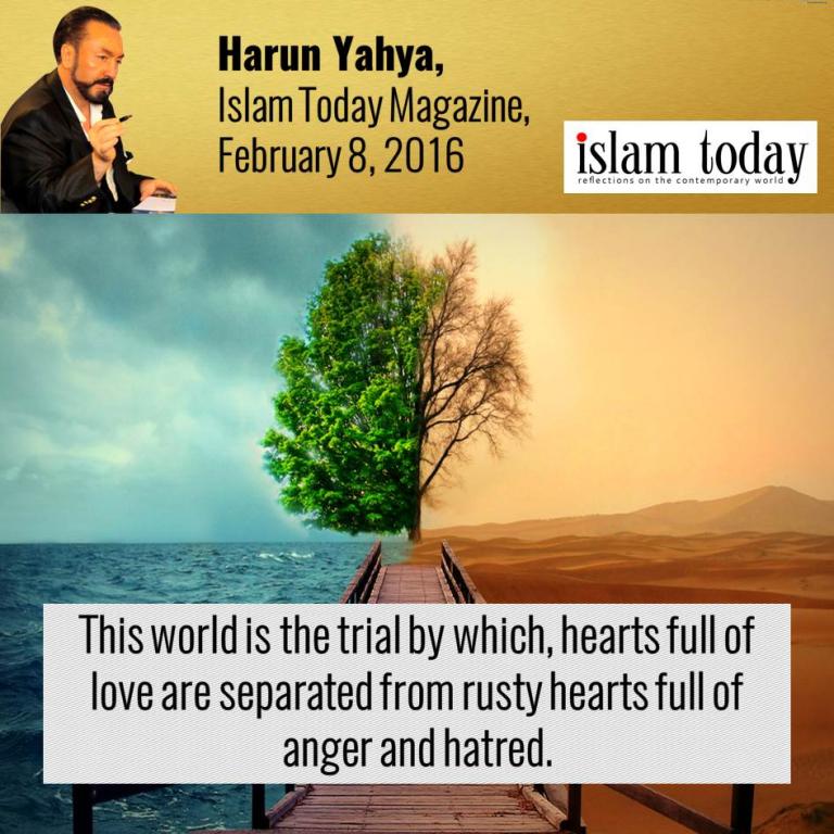 Harun Yahya Articles - Caps