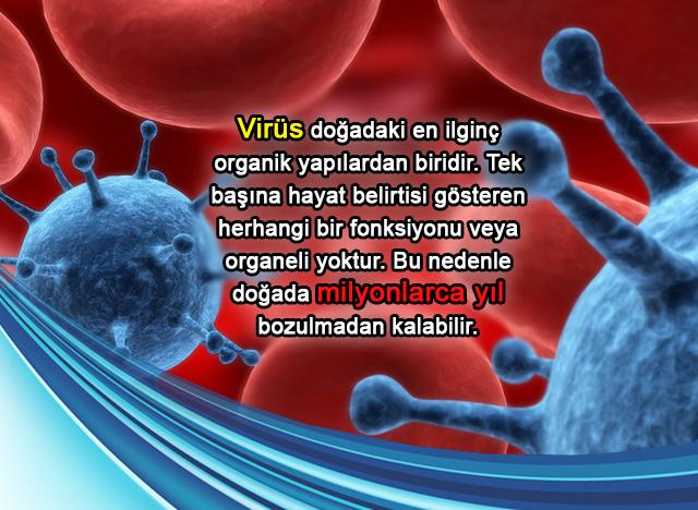 Virüs doğadaki en ilginç organik yapılardan biridir. 