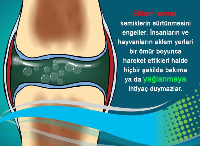 Eklem sıvısı, kemiklerin sürtünmesini engeller. 