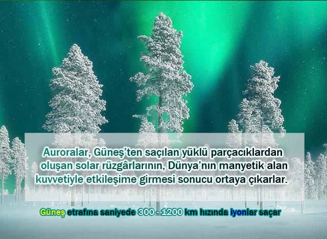 Auroralar