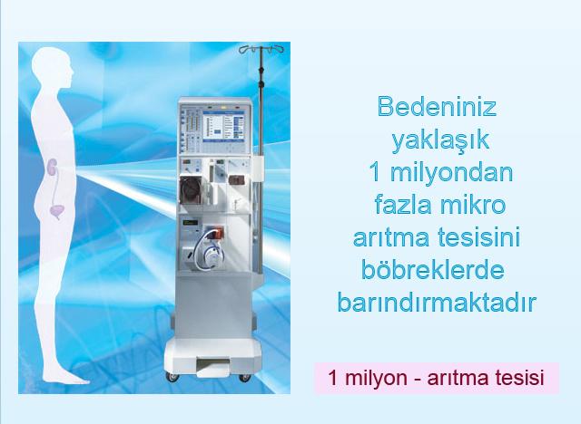 Bedenimiz yaklaşık 1 milyondan fazla mikro arıtma tesisini böbreklerde barındırmaktadır.