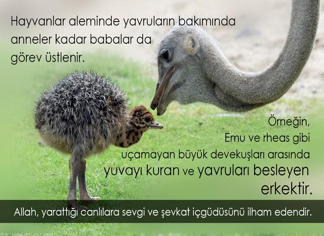 Allah, yarattığı canlılara sevgi ve şevkat içgüdüsünü ilham edendir