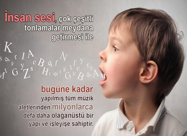 İnsan sesi