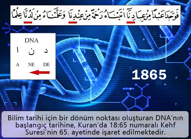 D-N-A harflerinin (Arapça’da Dal-Nun-Elif harflerinin) Kuran’da nerelerde yan yana geldiği incelendiği zaman, en fazla Kehf Suresi’nin 65. ayetinde geçtiği görülecektir. Bu ayette benzersiz bir şekilde, D-N-A harfleri ardı ardına tam üç defa, yan yana yer almaktadır. Kuran’ın başka hiçbir ayetinde “DNA” harfleri bu şekilde ardarda ve çok sayıda geçmez.Genetik biliminin başlangıç tarihi 1865 yılına ise; Kuran’da 18:65 numaralı Kehf Suresi’nin 65. ayetinde işaret edilmektedir.