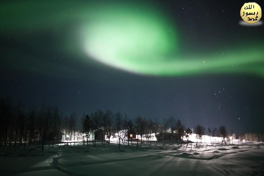 Auroralar