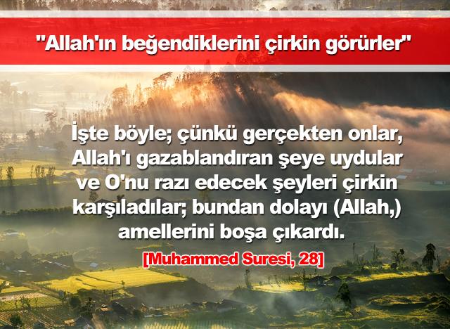 Allah'ın beğendiklerini çirkin görürler. (Muhammed Suresi, 28)