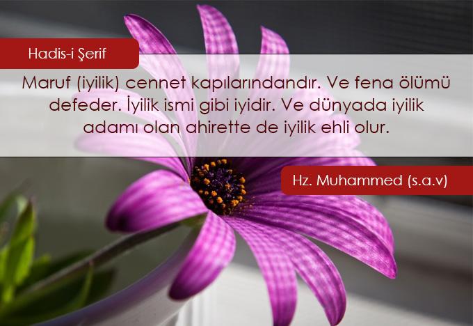 Hadis-i Şerif