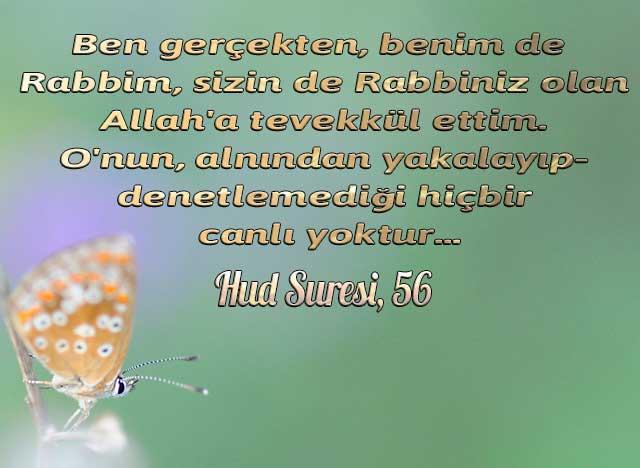 Hud Suresi, 56