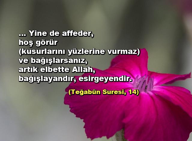 Teğabün Suresi, 14