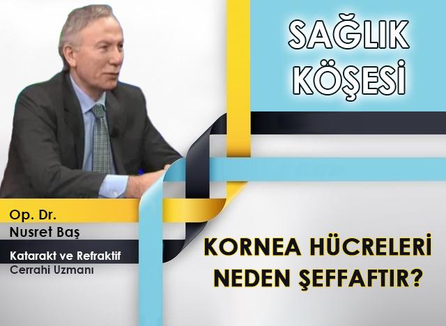 Kornea Hücreleri Neden Şeffaftır?	 