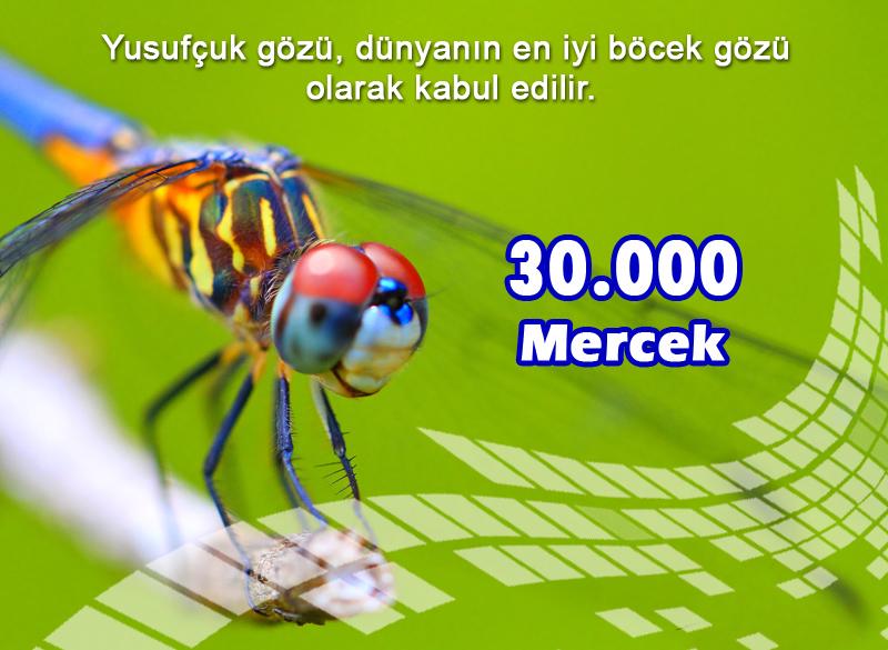 30.000 Mercek