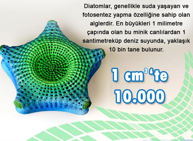 1 cm3'te 10.000