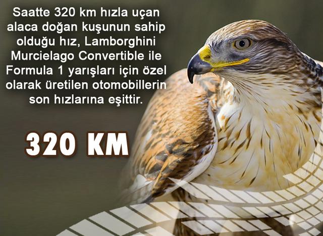 320 Km