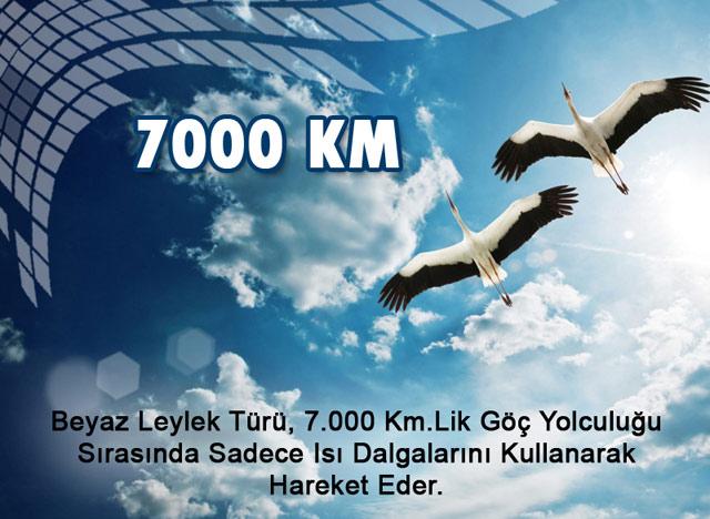 7000 Km