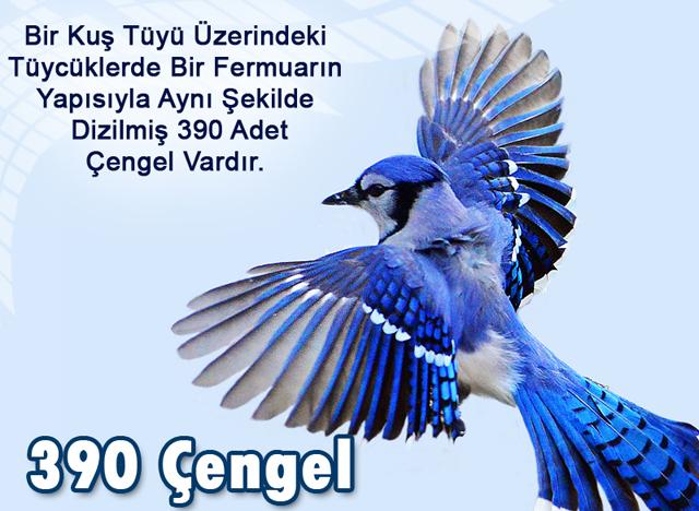 390 Çengel