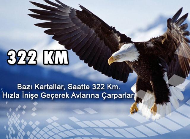 322 Km