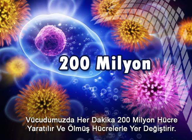 200 Milyon