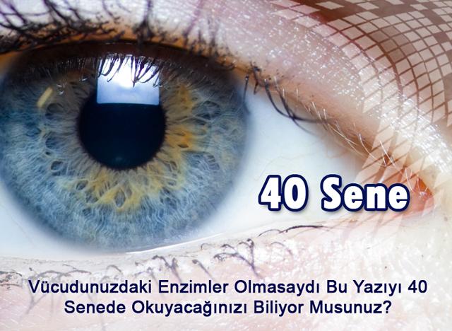 40 Sene