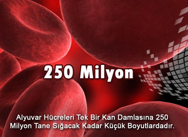 250 Milyon