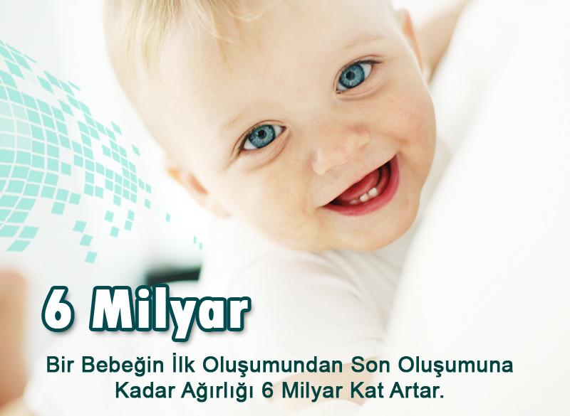 6 Milyar