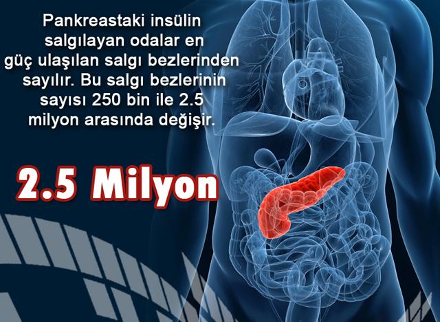 2.5 Milyon