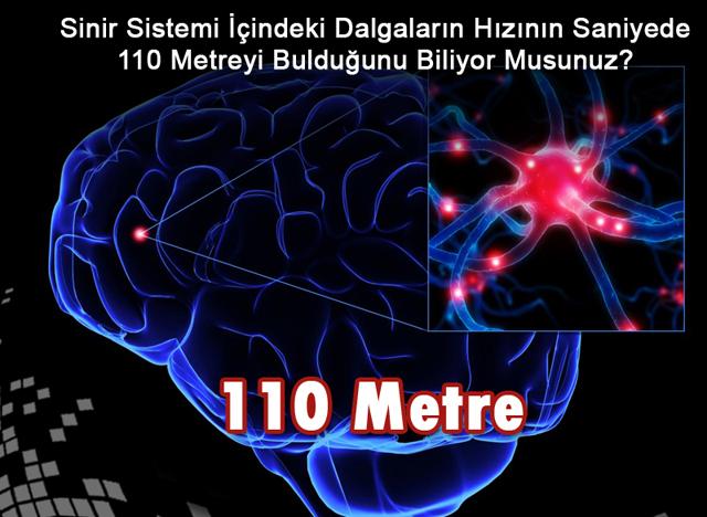 110 Metre