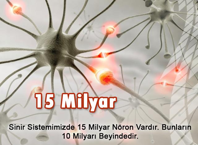 15 Milyar