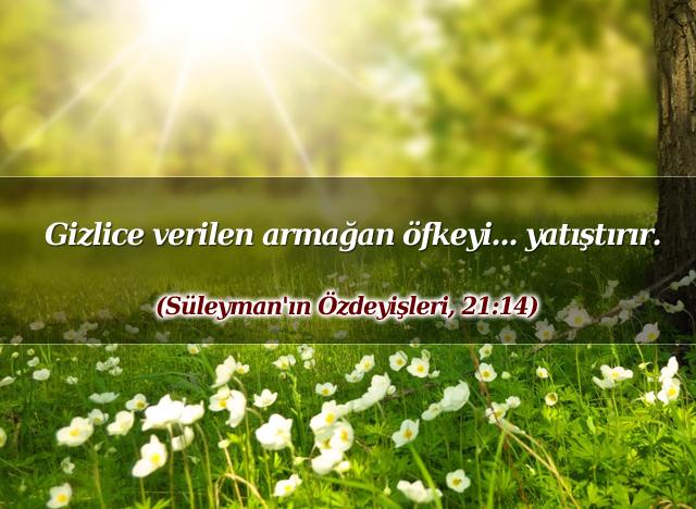 Süleyman'ın Özdeyişleri, 21:14