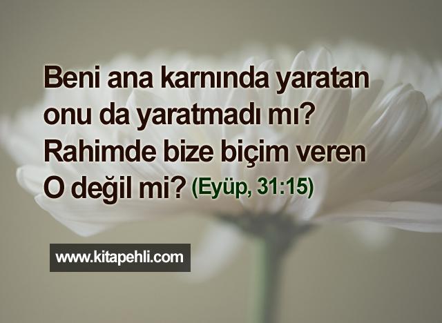 Eyüp, 31:15